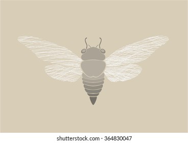 Graphic print of Cicada.