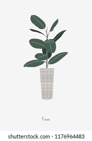Graphic print of Ficus Tree. Poster in Scandinavian style