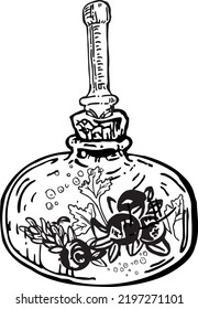 Graphic print with a flat bottle with berries, mint, lemonade. Vector contour image for scrapbooking, textiles, chancery. Alchemy, cooking, magic
