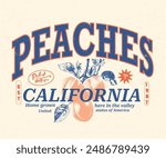 graphic print, peach fruits t Shirt designs, girls graphic, California Fruit Club, peach vector art with typography, retro vintage fruit illustration for tee,, women