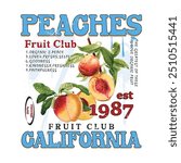 graphic print, peach fruits t Shirt designs, girls graphic, California Fruit Club, peach vector art with typography, retro vintage fruit illustration for tee,, women