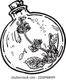 Grafikdruck mit einer runden Flasche mit Pflanzen. Vektorkonturbild für Scrapbooking, Textilien, Chancery. Alchimie, Magie