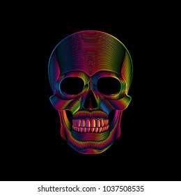 Graphic print of stylized skull in spectrum colors on black background. Linear drawing.