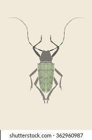 Graphic print of Titanus giganteus L., titan beetle.