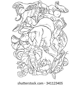 Graphic puzzle from the wild