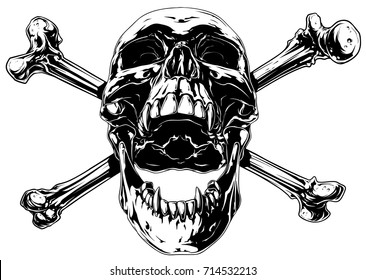 Graphic realistic black and white detailed human skull with crossed bones and canines vector