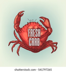 Graphic realistic crab. Vector illustration. Shellfish sketch used for logo design, banner, poster, advertising seafood, or restaurant menu.