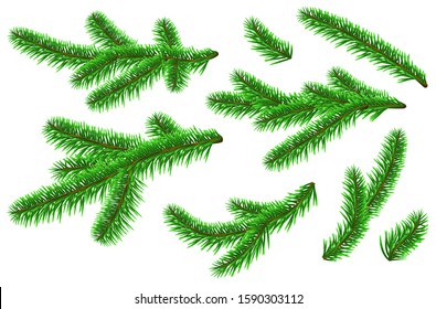 Graphic realistic green new year pine fir tree branches. Isolated on white background. Christmas vector icon set.