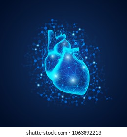 graphic of realistic heart with polygonal structure in scientific style, concept of sceince technology advancement 