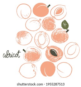 graphic representation of apricots whole and in section. The texture of apricot skin and pulp.