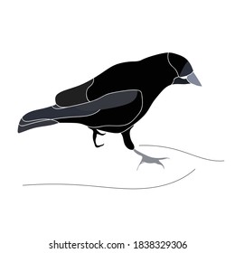 Graphic representation of a bird-crow.