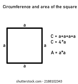 Representación gráfica de la circunferencia y área de un cuadrado con ecuación