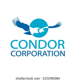 Graphic representation of a condor flying in front of the sun in the open sky with freedom, strength, passion, identity for the peoples of america