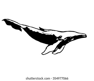 Graphic representation of a whale