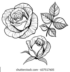 Graphic rose flower set with a leaf. Line art. 