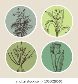 
Graphic round stickers with spring plants.  Manual graphics. Vector graphics.