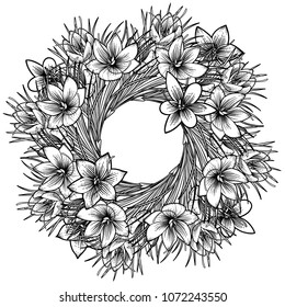 Graphic saffron wreath. Vector natural design. Coloring book page for adults and kids