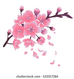 Graphic sakura branch with flowers and falling petals. Traditional symbol of spring in Japan. Vector floral design isolated on white background