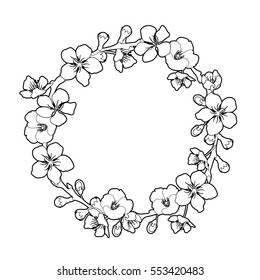 Graphic sakura wreath. Traditional symbol of spring in Japan. Vector floral design isolated on white background. Coloring book page design for adults and kids