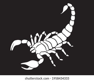 Graphic scorpion isolated on black background, vector illustration for tattoo and print