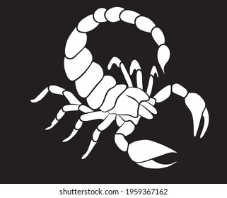 Graphic scorpion isolated on white background, vector illustration for tattoo and print