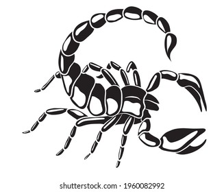 Graphic scorpion isolated on white background, vector illustration for tattoo and print