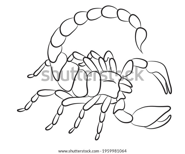 Graphic Scorpion Isolated On White Background Stock Vector (Royalty ...