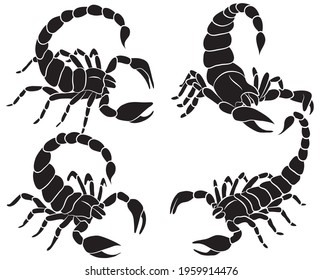 Graphic scorpion set isolated on white background in different poses, vector illustration for tattoo and print