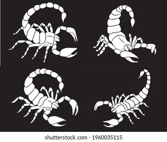 Graphic scorpion set isolated on black background in different poses, vector illustration for tattoo and print
