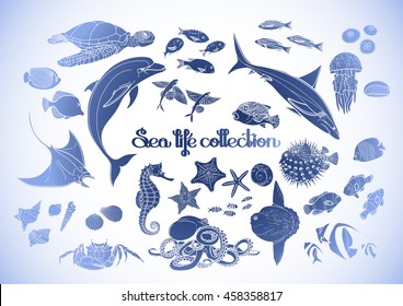 Graphic sea life collection. Vector ocean creatures isolated on white background. Marine design in blue colors