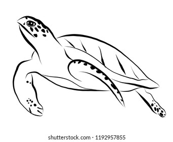 Graphic sea turtle, flat style, vector