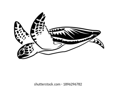 Graphic Sea Turtle Vector Stock Vector (Royalty Free) 681968116