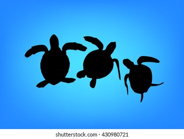 graphic sea turtle, vector