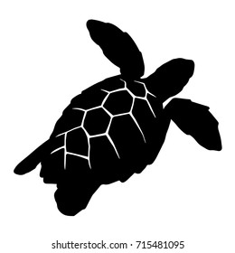 graphic sea turtle, vector