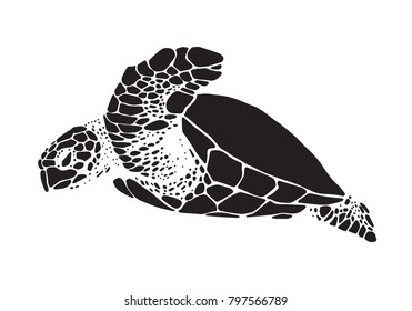 graphic sea turtle, vector