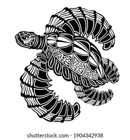 Graphic sea turtle, vector illustration animal