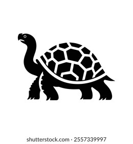 Graphic sea turtle. Vector illustration
