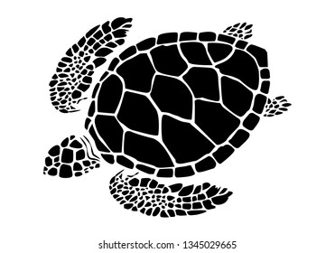 graphic sea turtle,vector illustration of sea turtle