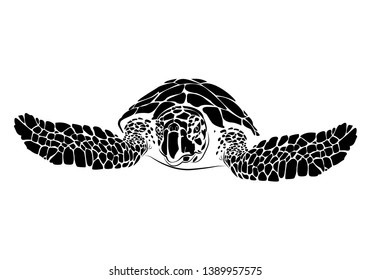 graphic sea turtle,vector illustration of sea turtle