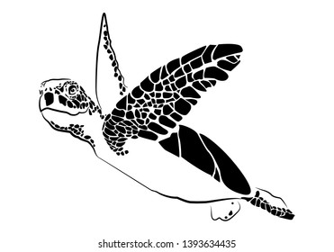 graphic sea turtle,vector illustration of sea turtle
