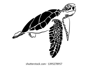 graphic sea turtle,vector illustration of sea turtle