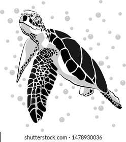 graphic sea turtle,vector illustration of sea turtle