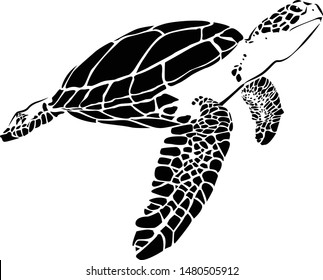 graphic sea turtle,vector illustration of sea turtle
