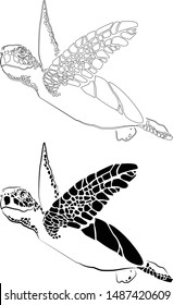 graphic sea turtle,vector illustration of sea turtle