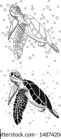 graphic sea turtle,vector illustration of sea turtle