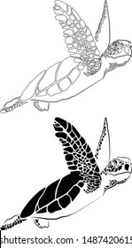 graphic sea turtle,vector illustration of sea turtle