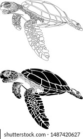 graphic sea turtle,vector illustration of sea turtle