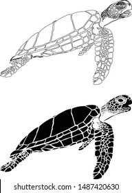 graphic sea turtle,vector illustration of sea turtle