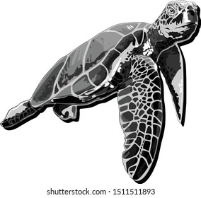 graphic sea turtle,vector illustration of sea turtle