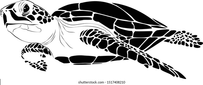 graphic sea turtle,vector illustration of sea turtle